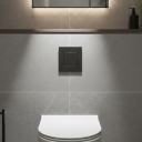 Apache Matt Black Square Dual Flush Button