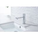 Coach Chrome Basin Mixer Tap & Waste