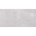 Arundel Light Grey Matt Porcelain Tile 500x1000mm