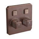 Flint Brushed Bronze Double Outlet Concealed Valve Shower Pack
