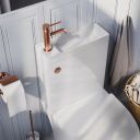 Joane Close Coupled Rimless 2-in-1 Combination Toilet & Basin with Bronze Push Button