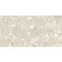 Denver Beige Matt Porcelain Tile 600x1200mm