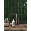 Sapporo Green Gloss Ceramic Brick Tile 250x50mm