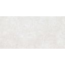 Houston Matt White Porcelain Tile 1200x600mm