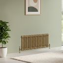 Clement Antique Brass Double Horizontal Column Radiator 400x1010mm