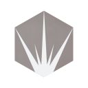 Lotus Hex Matt Grey Hexagon Porcelain Tile - 198x228mm