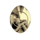Apache Brushed Gold Oval Dual Flush Button