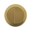 Gold Toilet Push Button