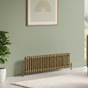 Clement Antique Brass Double Horizontal Column Radiator 300x1190mm