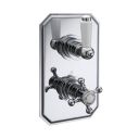 Single Outlet Concealed Valve & Rose Shower Head