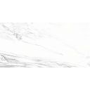 Infinite White Gloss Porcelain Tile 300x600mm