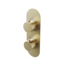 Elora Brushed Gold Round Dual Outlet Shower Pack with Bath Overflow Filler & Handheld Shower