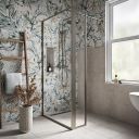 Amien Brushed Nickel Clear Glass Shower Screen