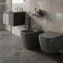 Micheli Grafite Gloss Back to Wall Bidet