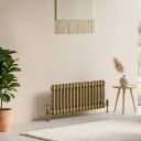 Clement Antique Brass Double Horizontal Column Radiator 300x785mm