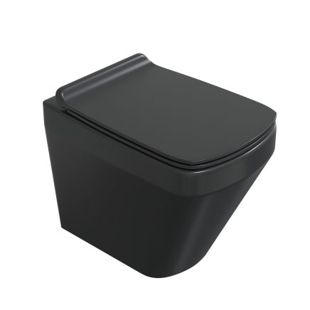 Belgrove Black Rimless Back to Wall Toilet