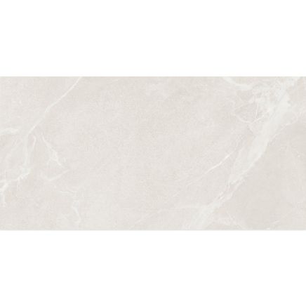 Bussang Arena Matt Stone Effect Tile 900x450mm
