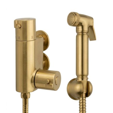 Brushed Gold Douche Thermostatic Mixer Valve