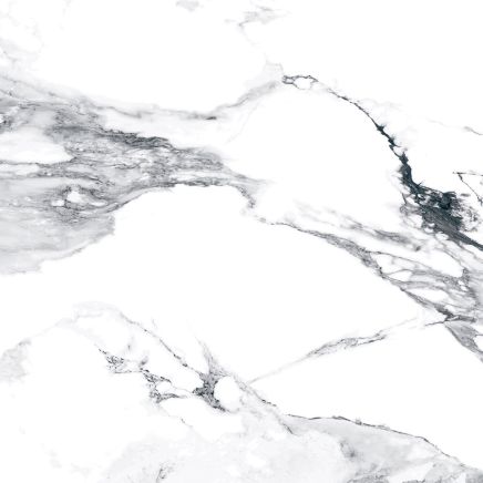 Charlie White Marble Gloss Porcelain Tile 1200x1200mm