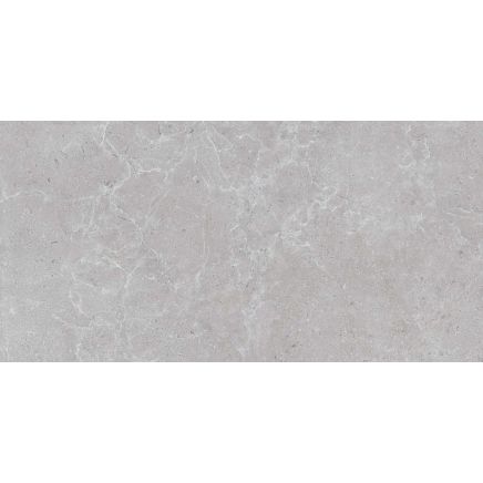 Houston Matt Grey Porcelain Tile 600x298mm