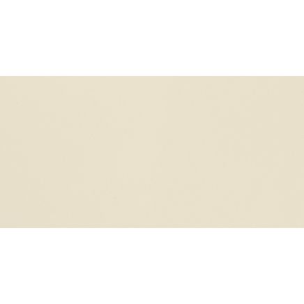 Luso Bone Gloss Ceramic Tile 100x200mm