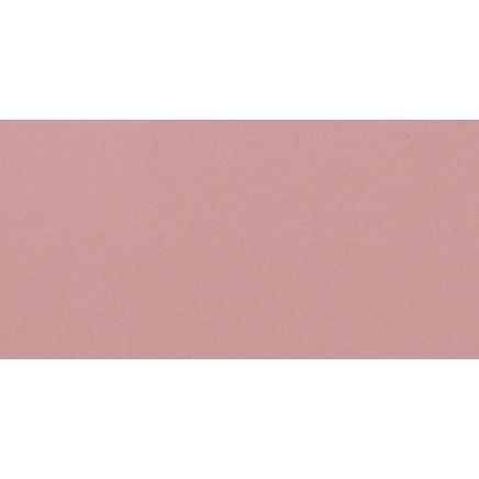 Luso Rose Gloss Ceramic Tile 100x200mm