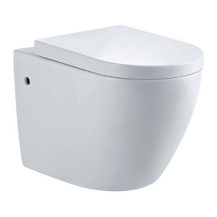 Oscar Wall Hung Toilet & Soft Closing Seat