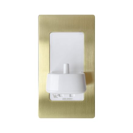 Proofvision Gold In-Wall Electric Toothbrush Holder with Shaver Socket For Oral-B