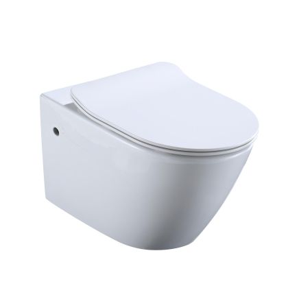 Rift Wall Hung Rimless Toilet with Soft Close Seat