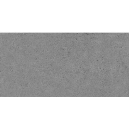 Monarch Dark Grey Gloss Tile 300x600mm