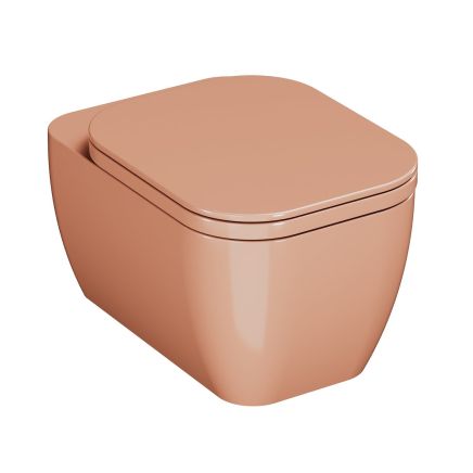 Micheli Carmello Rimless Wall Hung Toilet with Soft Close Seat