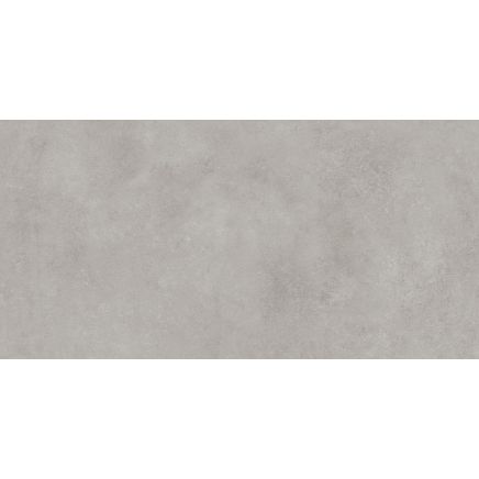 Zenia Cenzia Grey Concrete Porcelain Tile 298x598mm