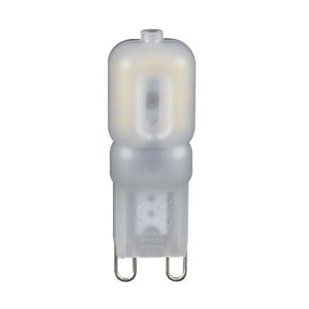 G9 Cool White LED Bulb