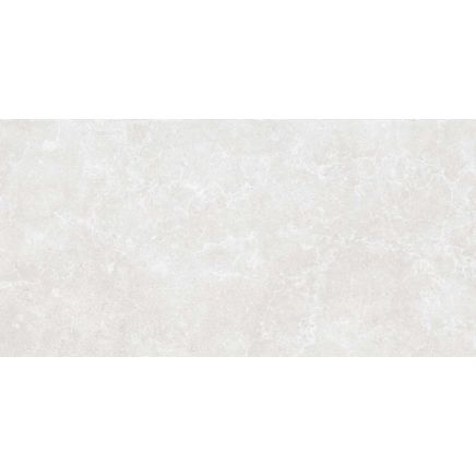Houston Matt White Porcelain Tile 1200x600mm
