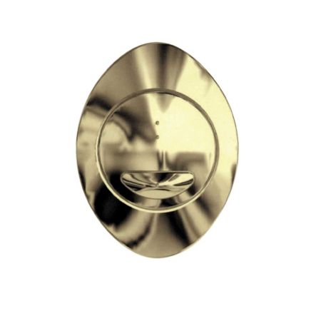 Apache Brushed Gold Oval Dual Flush Button