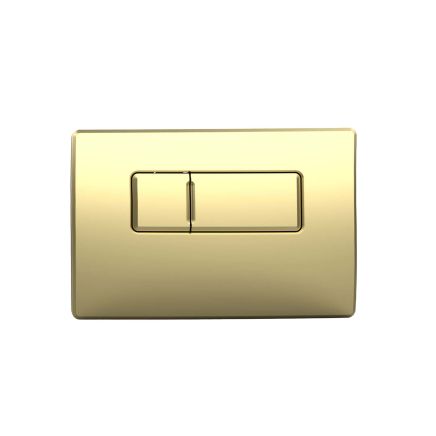 Flush Plate for 820mm Wall Hung Frame and Cistern - Brushed Gold
