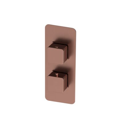 Brushed Bronze Dual Square Concealed Thermostatic Shower Valve With Single Outlet