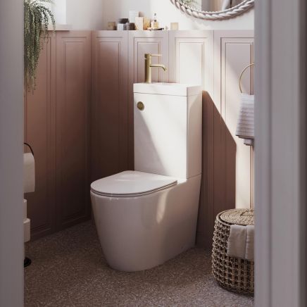 Joane Back to Wall Rimless 2-in-1 Combination Toilet & Basin with Gold Push Button
