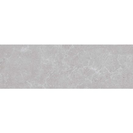 Houston Matt Grey Ceramic Tile 1200x400mm