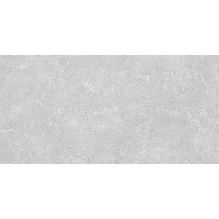 Houston Matt Grey Porcelain Tile 1200x600mm