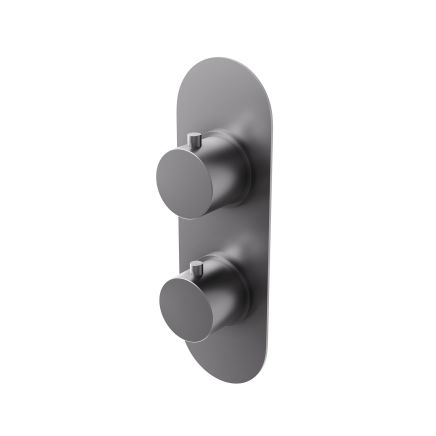 Elora Gunmetal Round Dual Control Concealed Thermostatic Shower Valve With Single Outlet