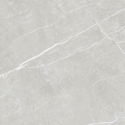 Enigma Silver Matt Porcelain Tile - 900x900mm