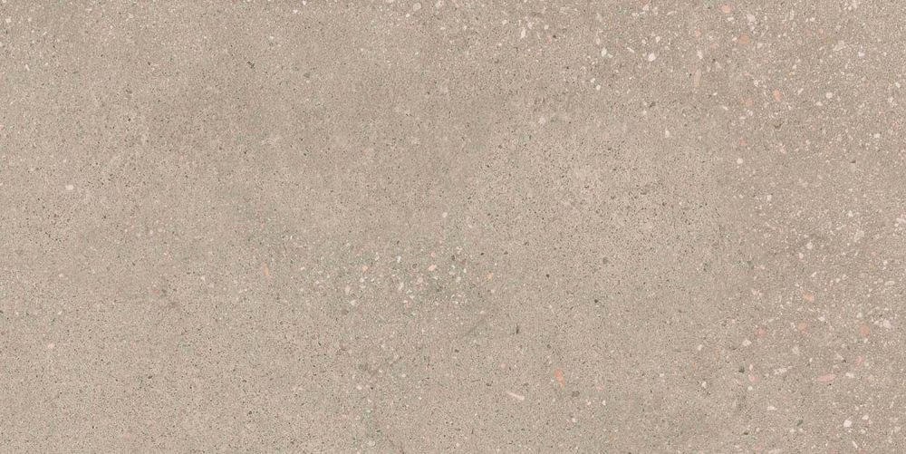 Hamburg Greige Matt Porcelain Tile 300x600mm