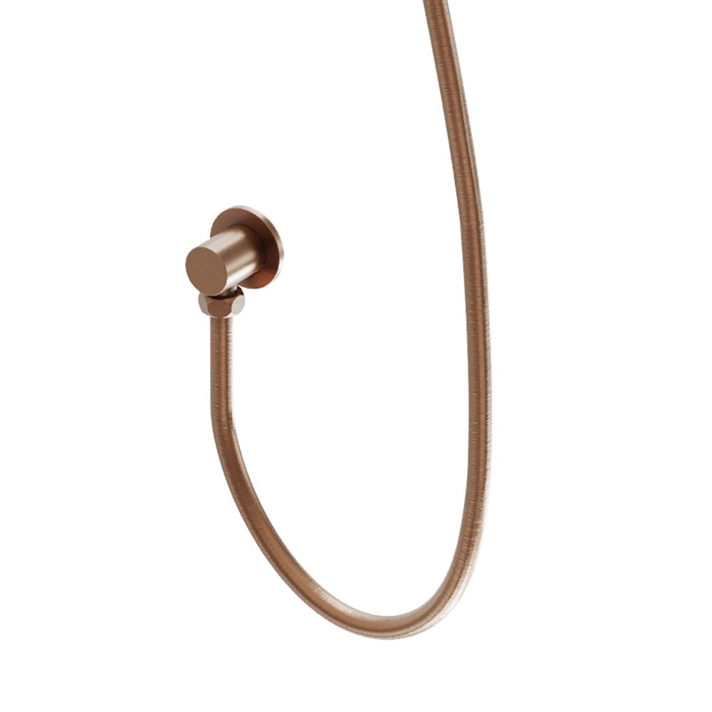 Elora Brushed Bronze Wall Outlet