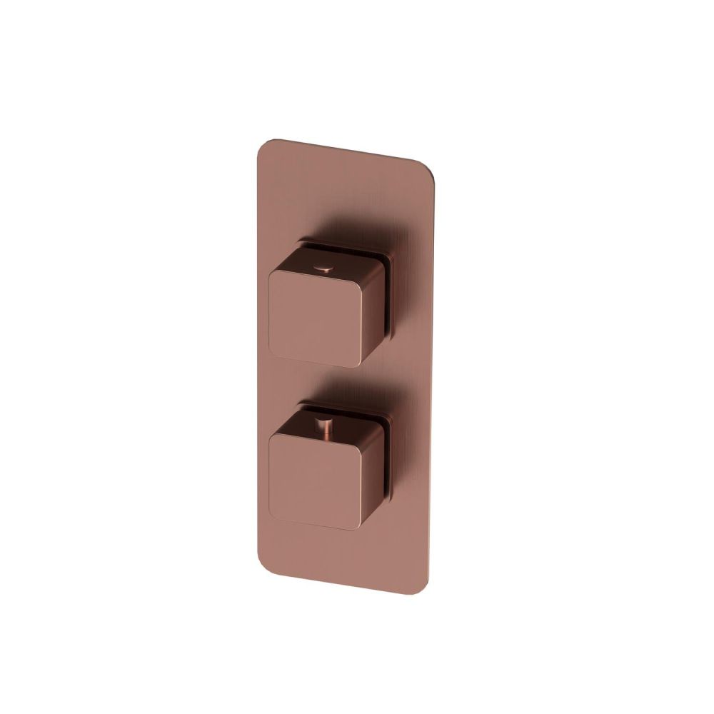 Liva Brushed Bronze Dual Outlet Square Shower Pack with Fixed Head & Slider Rail