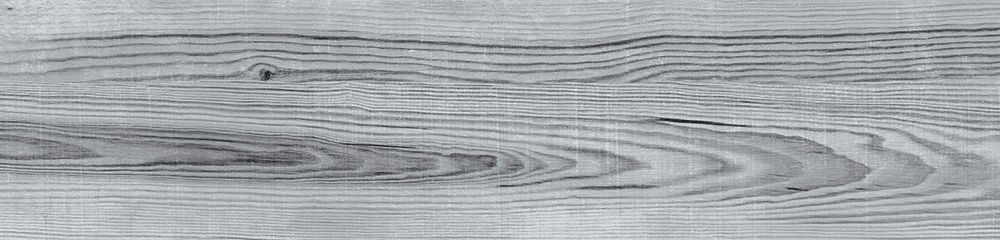 Myst Smoke Gloss Wood Effect Porcelain Tile 235x980mm