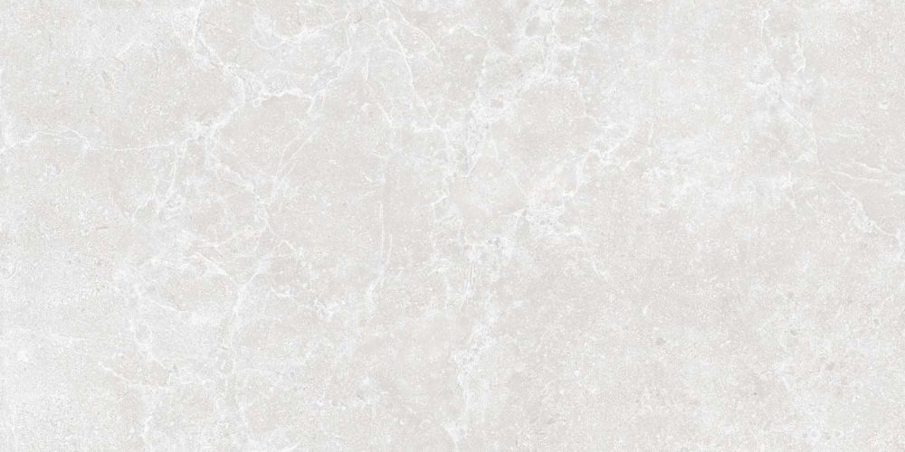 Houston Matt White Porcelain Tile 600x298mm