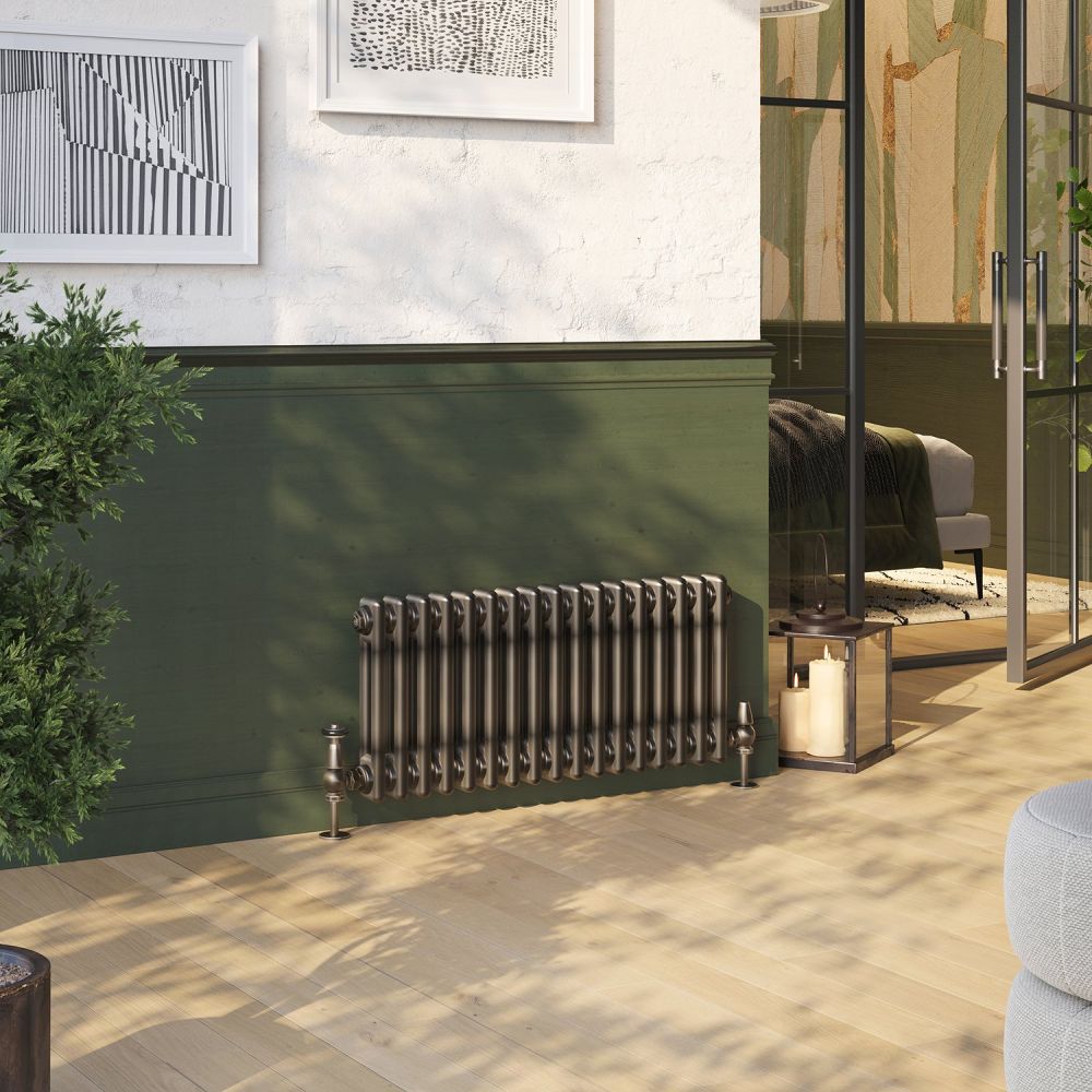 Clement Raw Metal Double Horizontal Column Radiator - 300x785mm