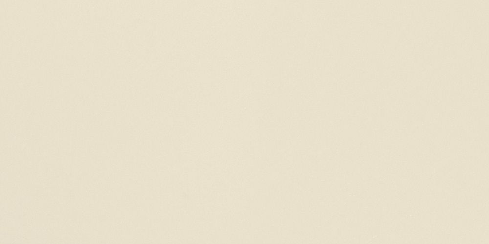 Luso Bone Gloss Ceramic Tile 100x200mm