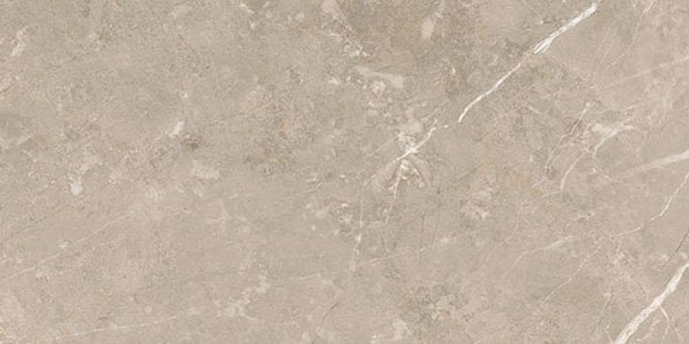 Enigma Greige Polished Porcelain Tile - 300x600mm